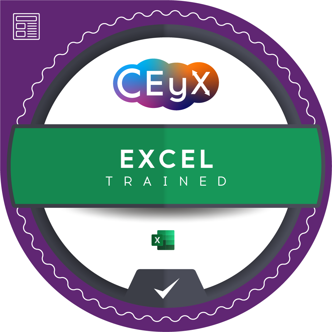 Excel Training Badge